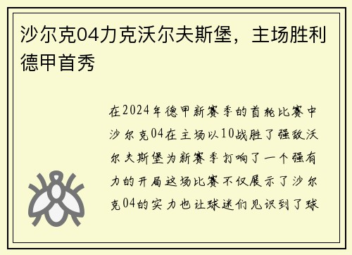 沙尔克04力克沃尔夫斯堡，主场胜利德甲首秀