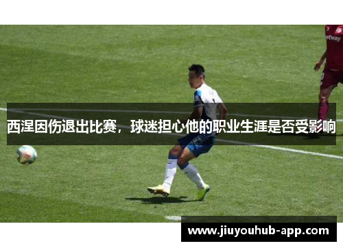 西涅因伤退出比赛，球迷担心他的职业生涯是否受影响