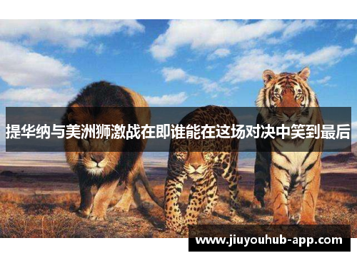 提华纳与美洲狮激战在即谁能在这场对决中笑到最后